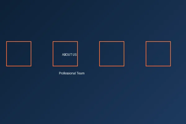 中欧体育（官网） APP下载专业团队合影