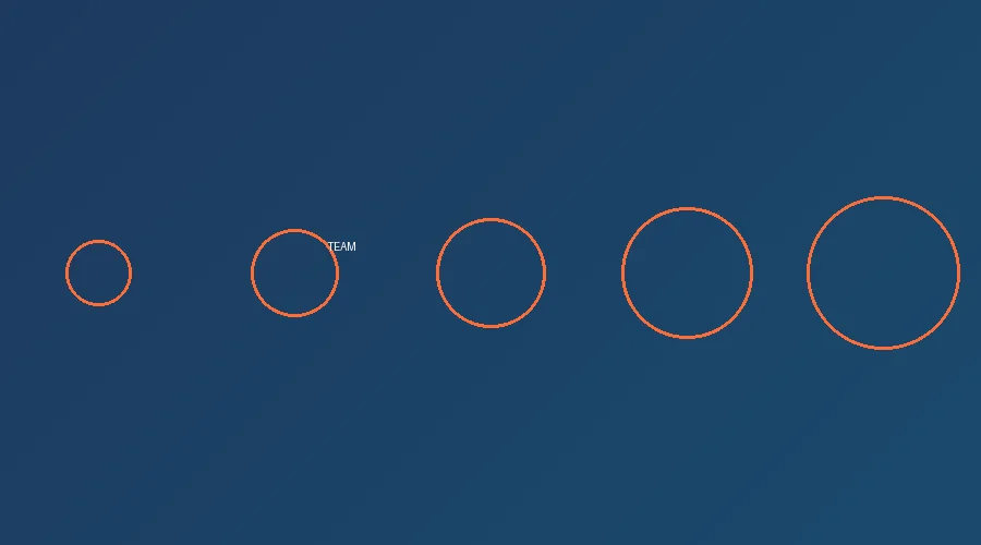 篮球队员团队庆祝场景